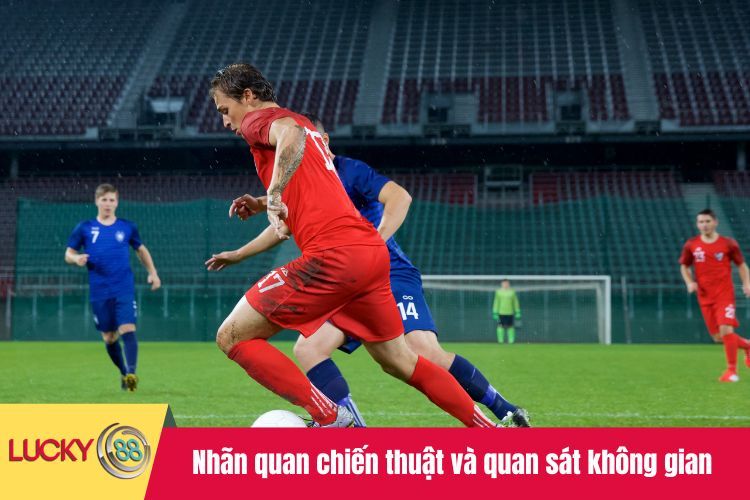 Nhãn quan chiến thuật và quan sát không gian