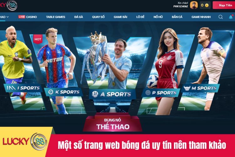 Một số trang web bóng đá uy tín nên tham khảo