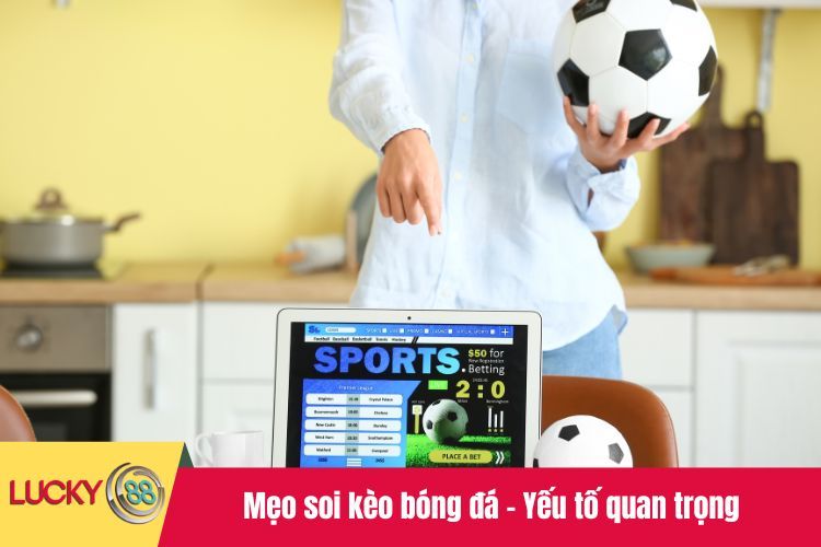 Mẹo soi kèo bóng đá - Yếu tố quan trọng giúp tăng tỷ lệ thắng